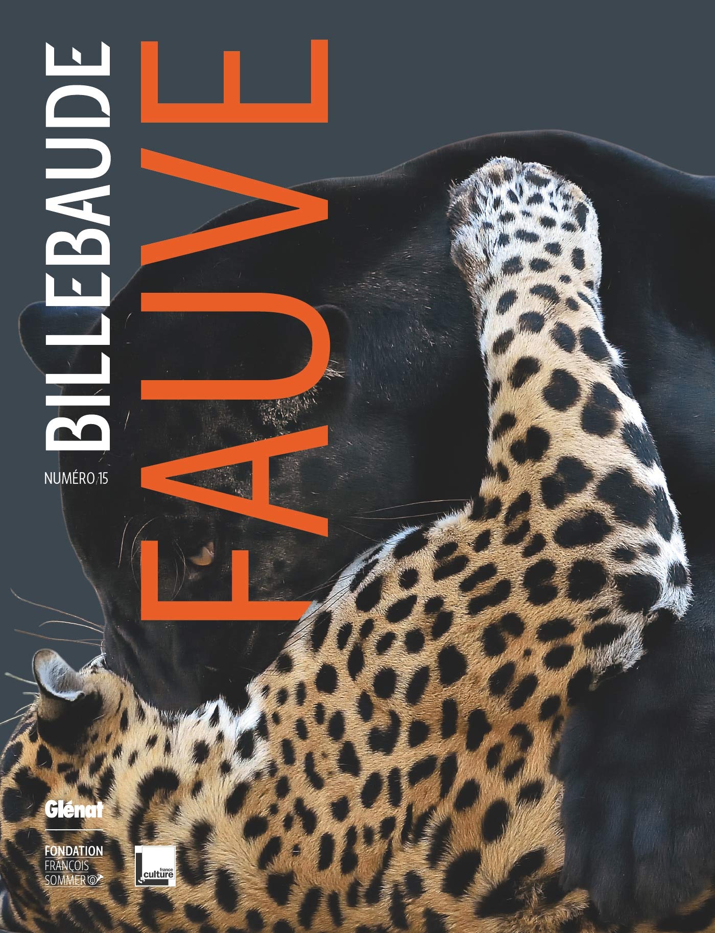 Billebaude - Tome 15: Fauve Film, Art & Culture