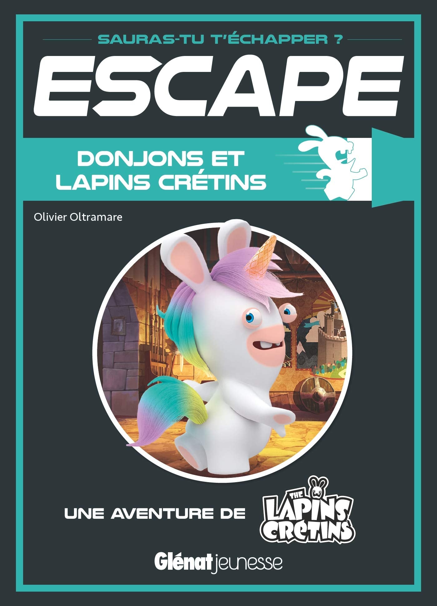 Donjons et lapins crétins: Une aventure des lapins crétins book