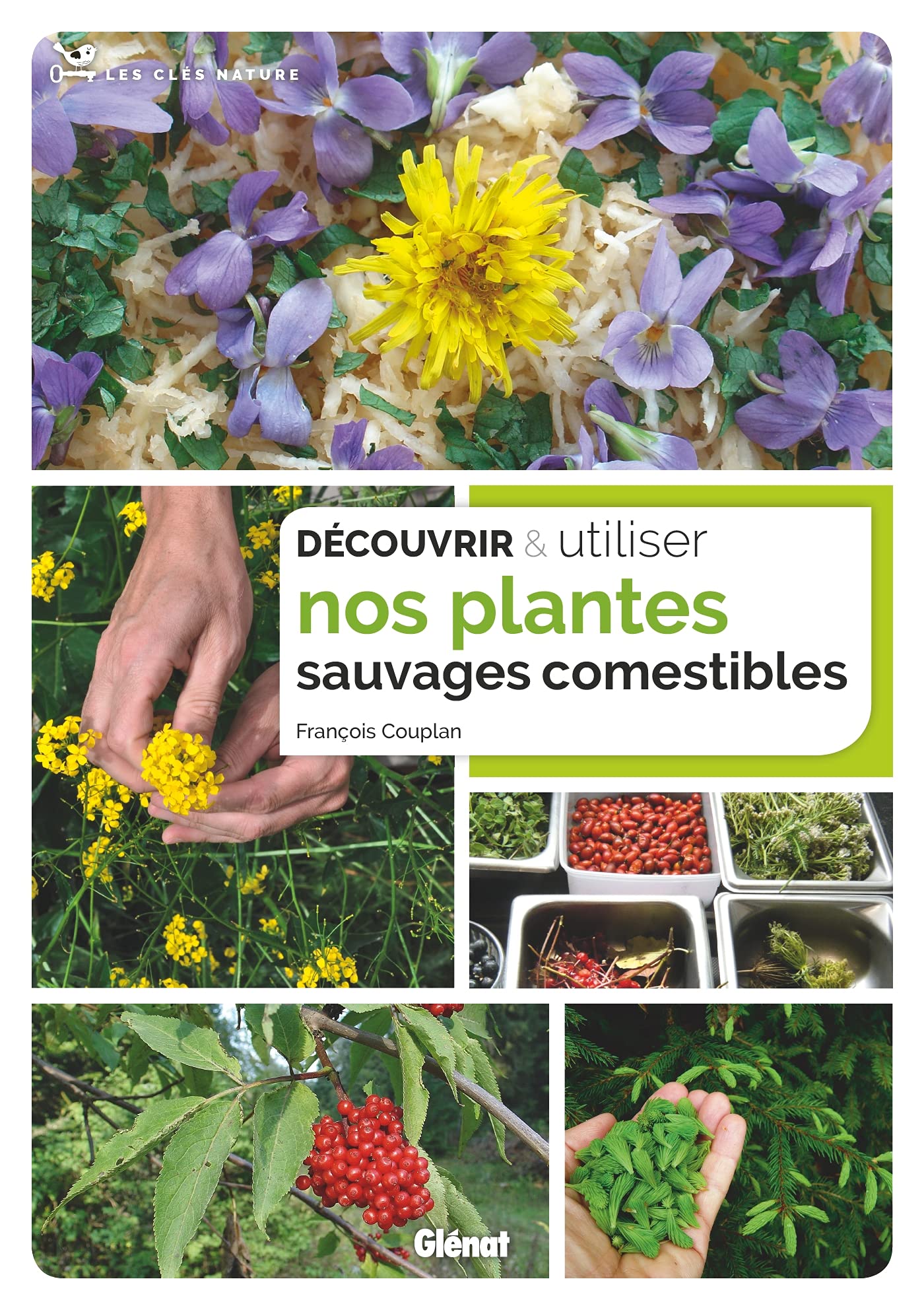 Découvrir et utiliser nos plantes sauvages comestibles book