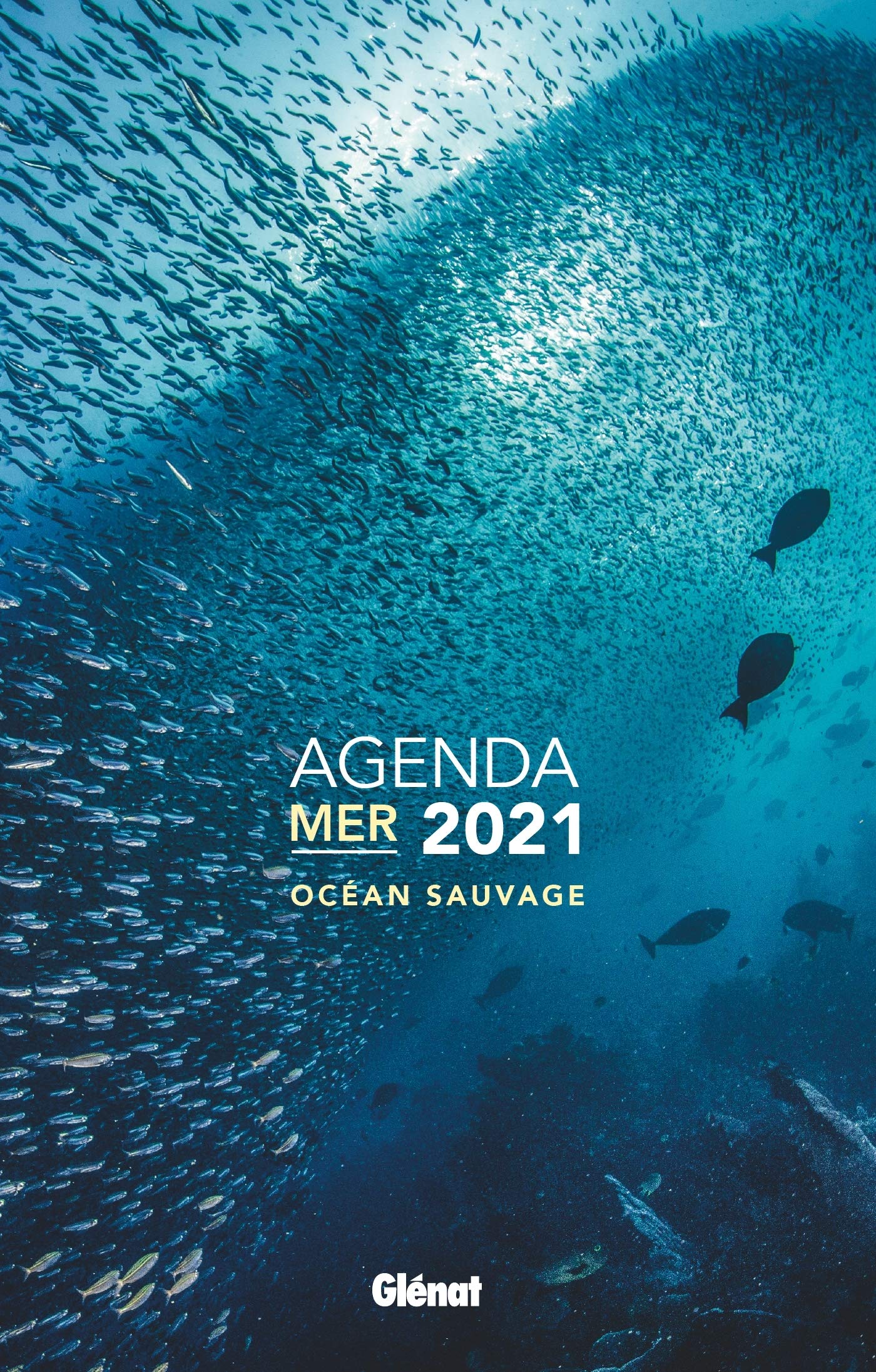 Agenda mer 2021: Océan sauvage Film, Art & Culture