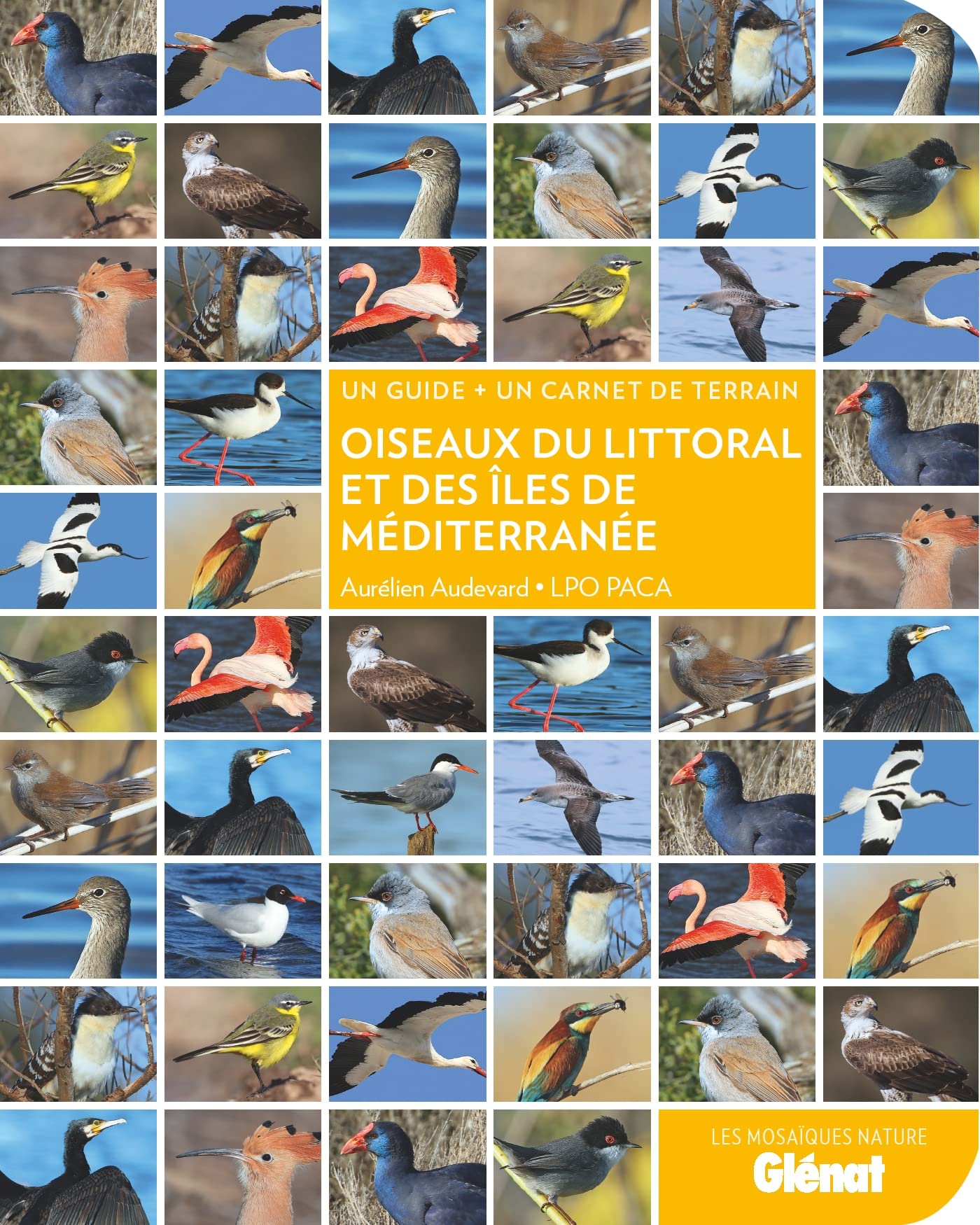 Oiseaux du littoral et des îles de Méditerranée: Un guide + un carnet de terrain Film, Art & Culture
