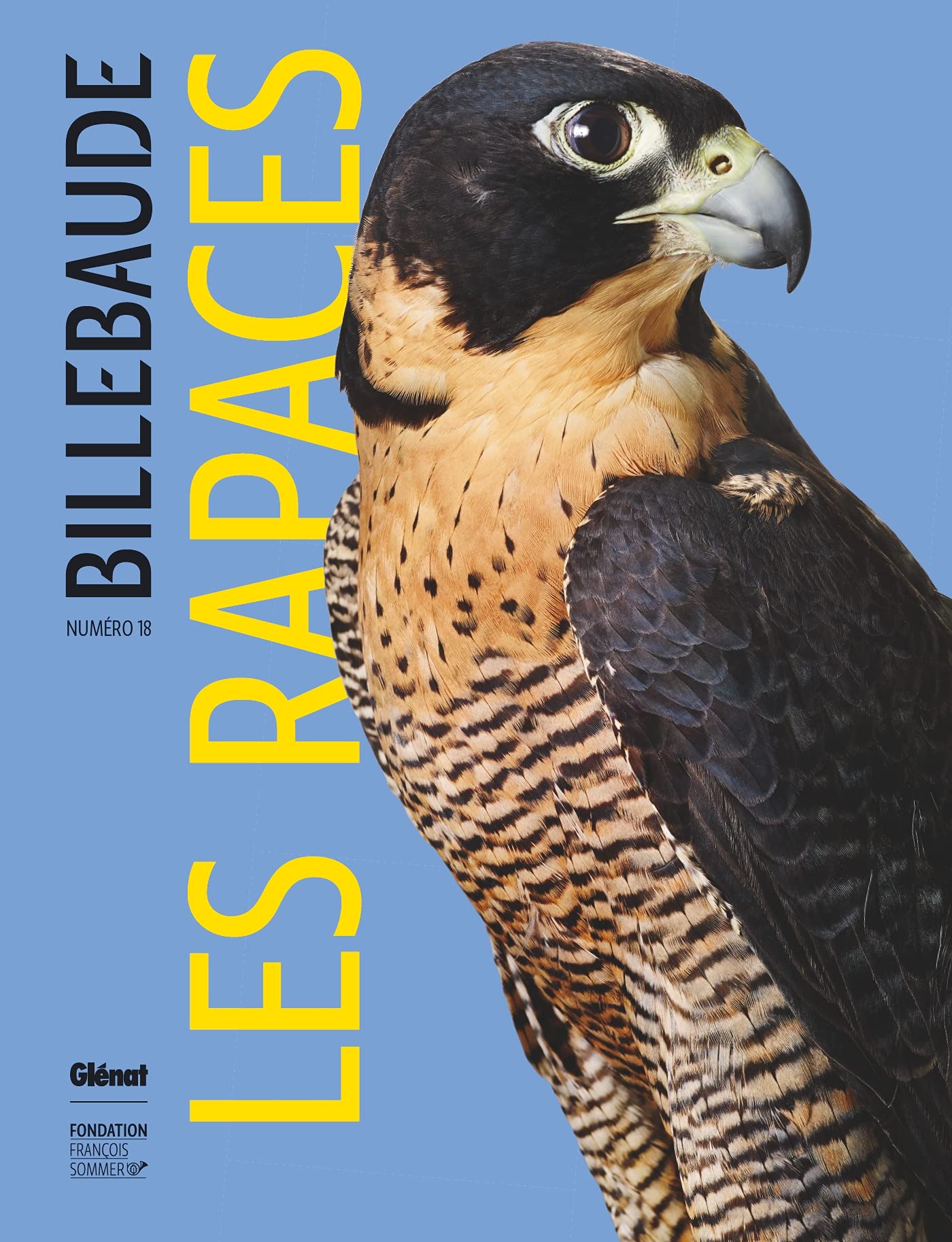Billebaude - Tome 18: Rapaces Film, Art & Culture