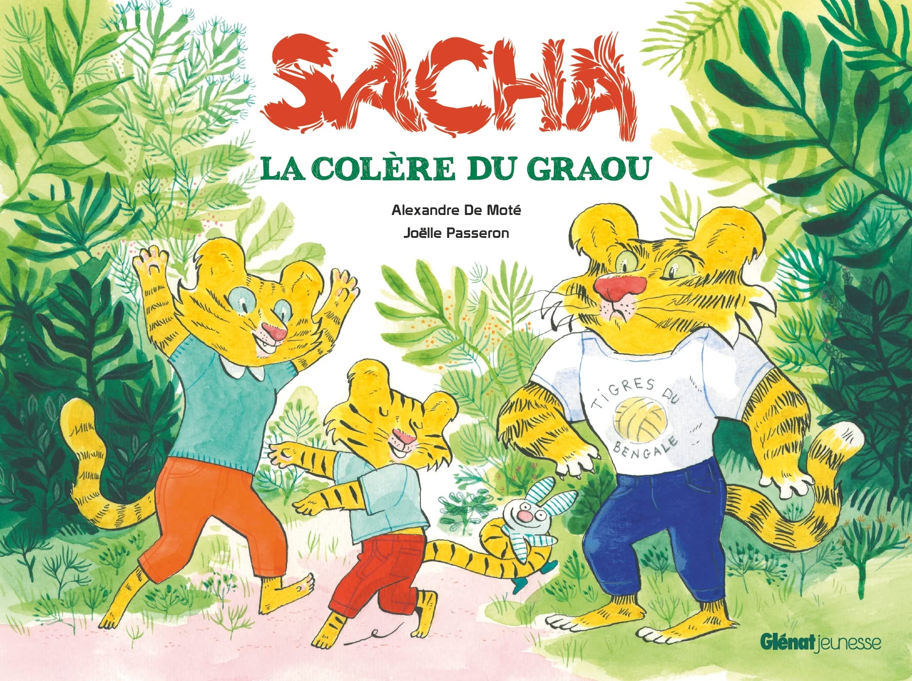 Sacha et la colère du Graou: La colère du Graou Children's books