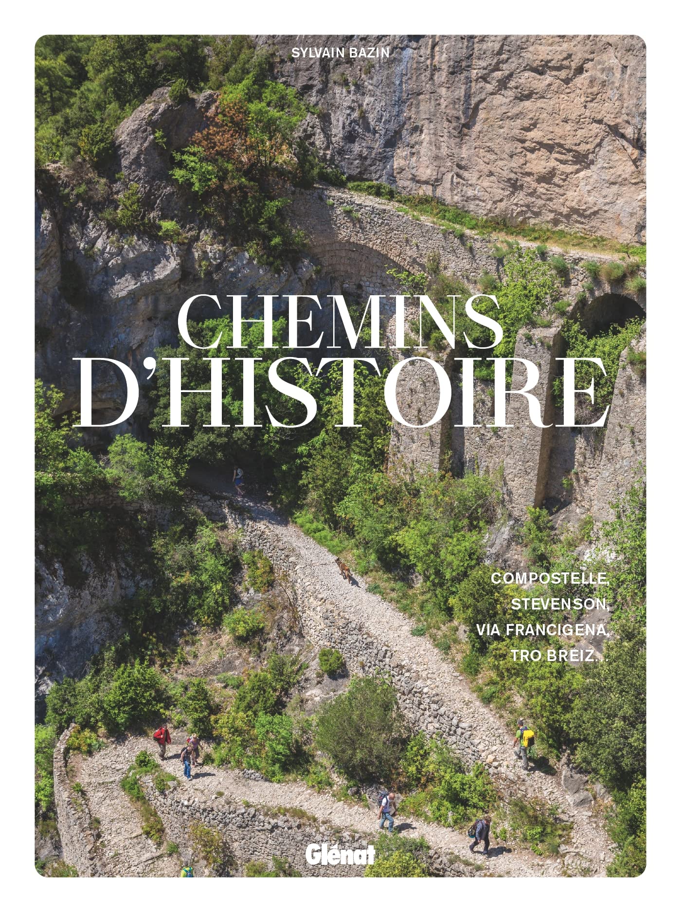 Chemins d'histoire: Compostelle, Stevenson, Via Francigena, Tro Breiz... book