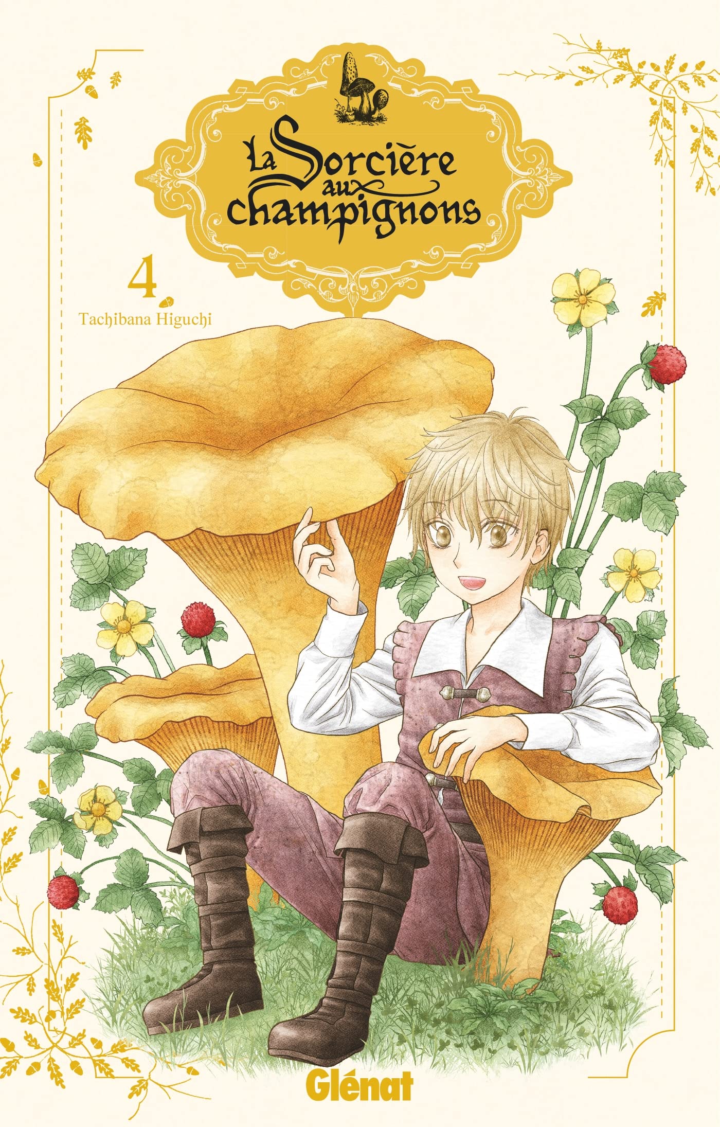 La sorcière aux champignons - Tome 04 book