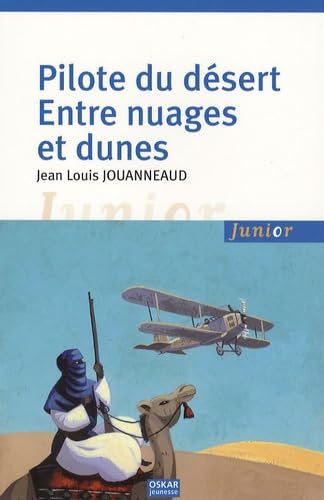 PILOTE DU DESERT, ENTRE NUAGES ET DUNES book