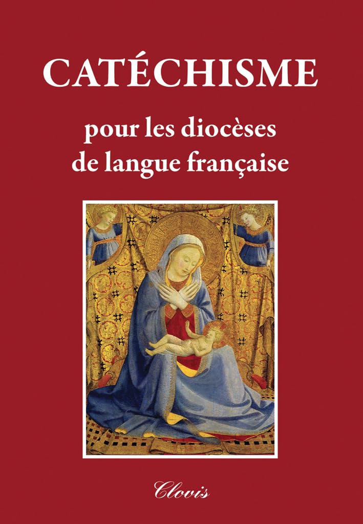 CATÉCHISME POUR LES DIOCÈSES DE LANGUE FRANÇAISE Books