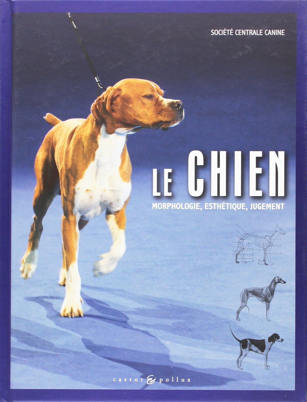 Le chien: Morphologie, esthétique, jugement Books