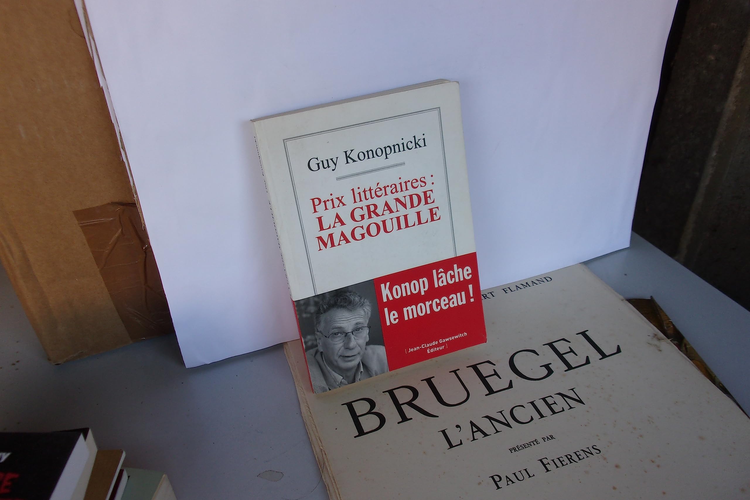 Prix littéraires : la grande magouille Books