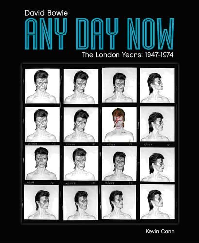 David Bowie - PROJET ANNULE: Les années Londres 1947-1974 book