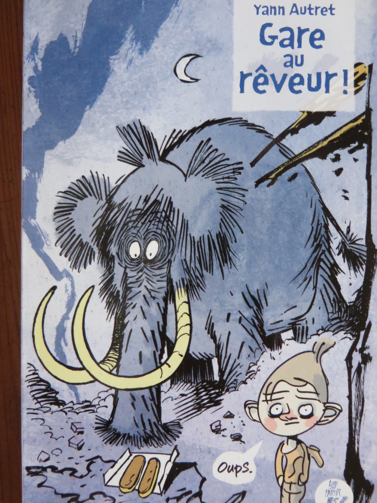 Gare au rêveur! book