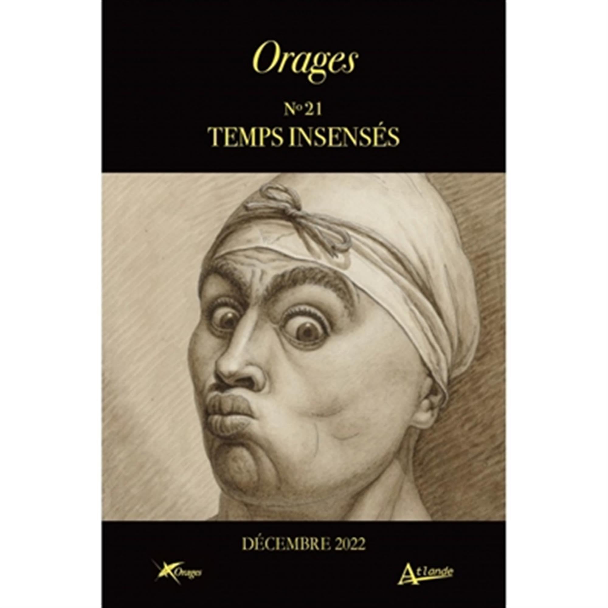 Orages n° 21 - Temps insensés: Décembre 2022 book