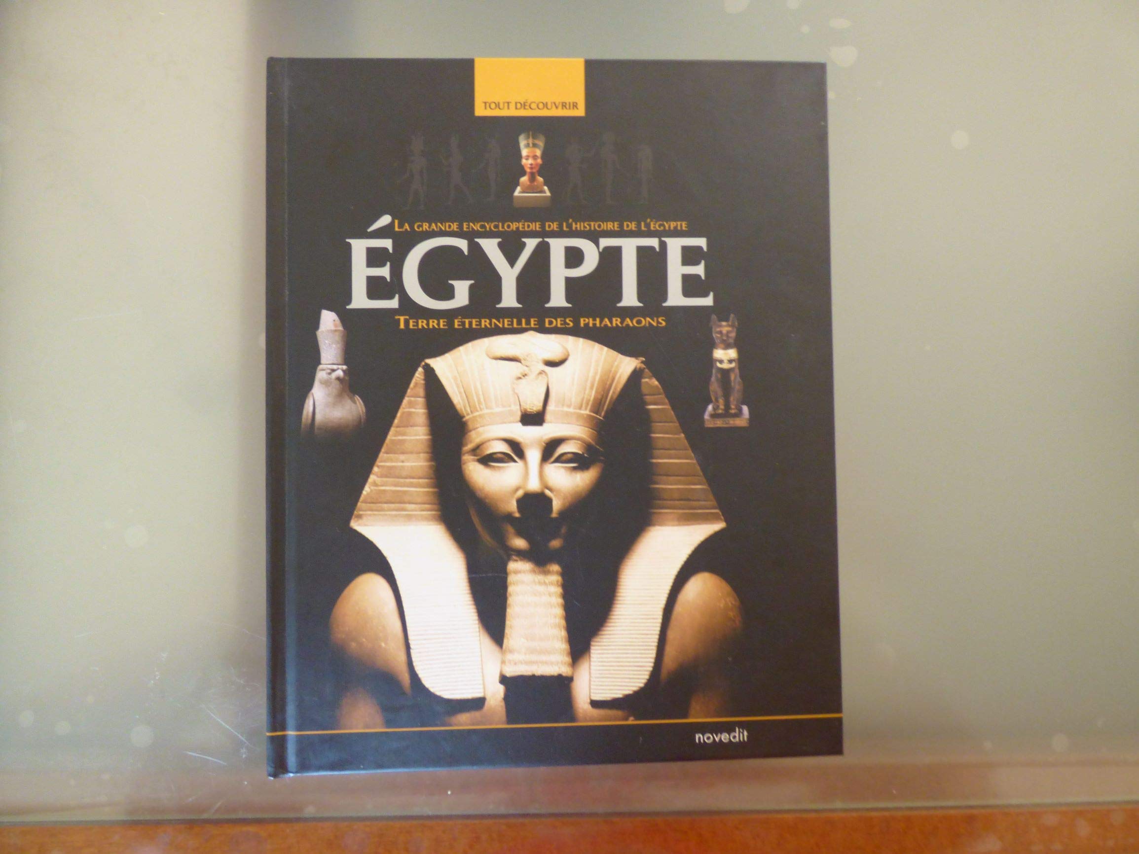 LA GRANDE ENCYCLOPEDIE DE L'HISTOIRE DE L'EGYPTE terre eternelle des pharaons Books