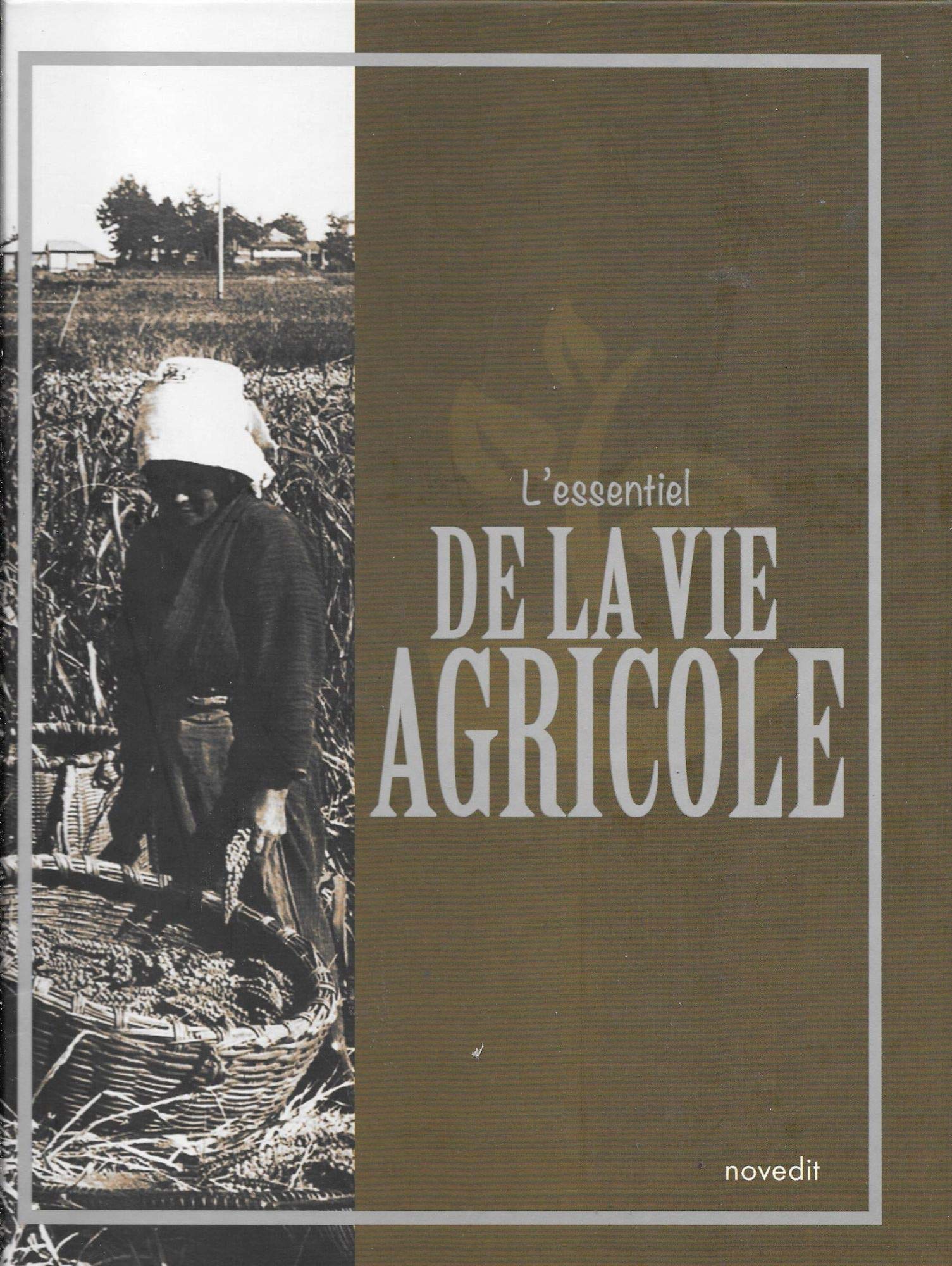 L'ESSENTIEL DE LA VIE AGRICOLE Books