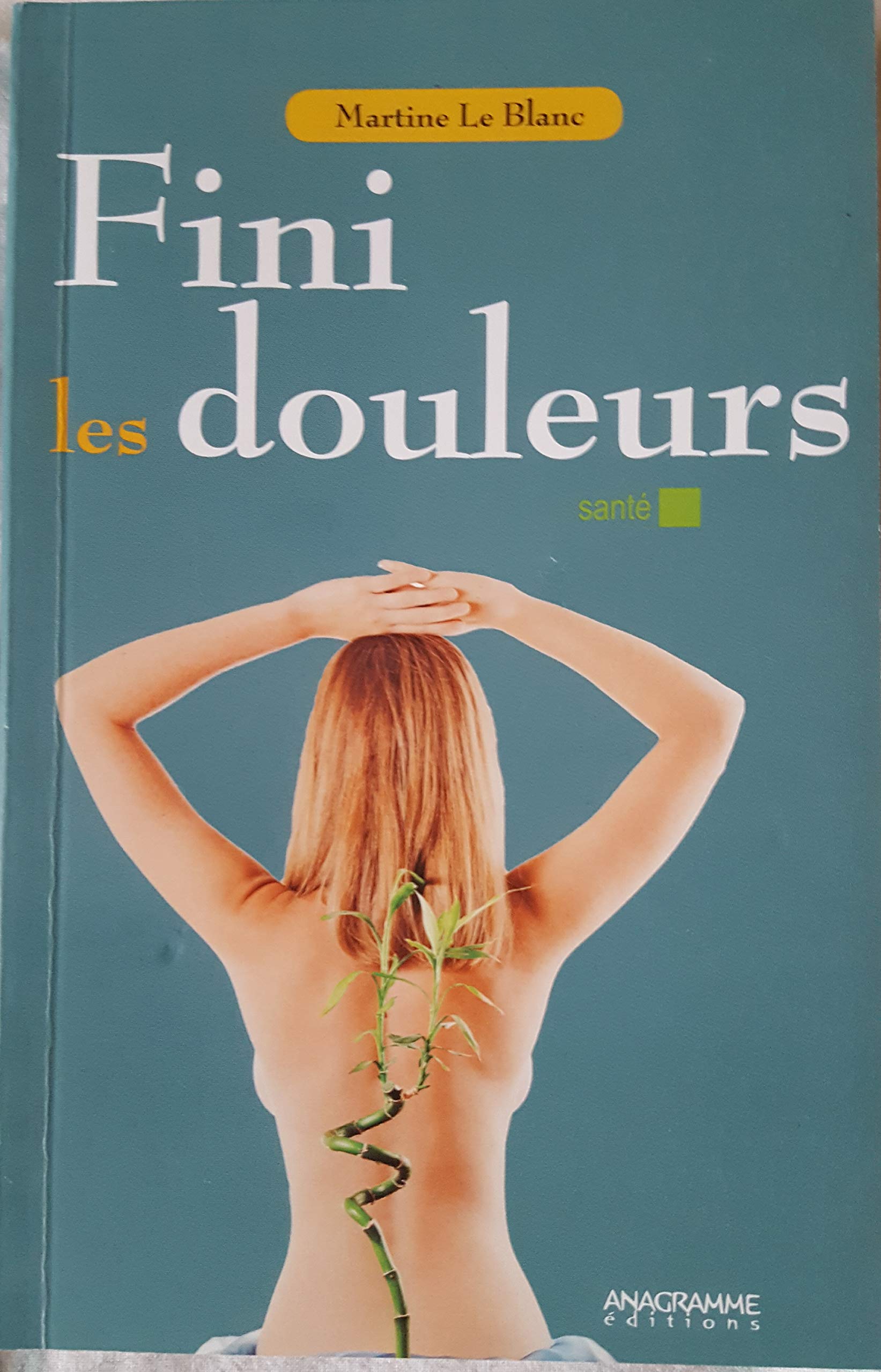 Fini les douleurs ! Comprendre l'influence des gestes quotidiens sur notre corps book