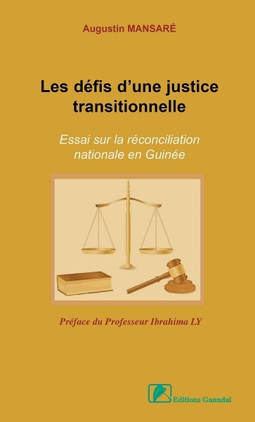 Les défis d'une justice transitionnelle : essai sur la réconciliation nationale en Guinée book