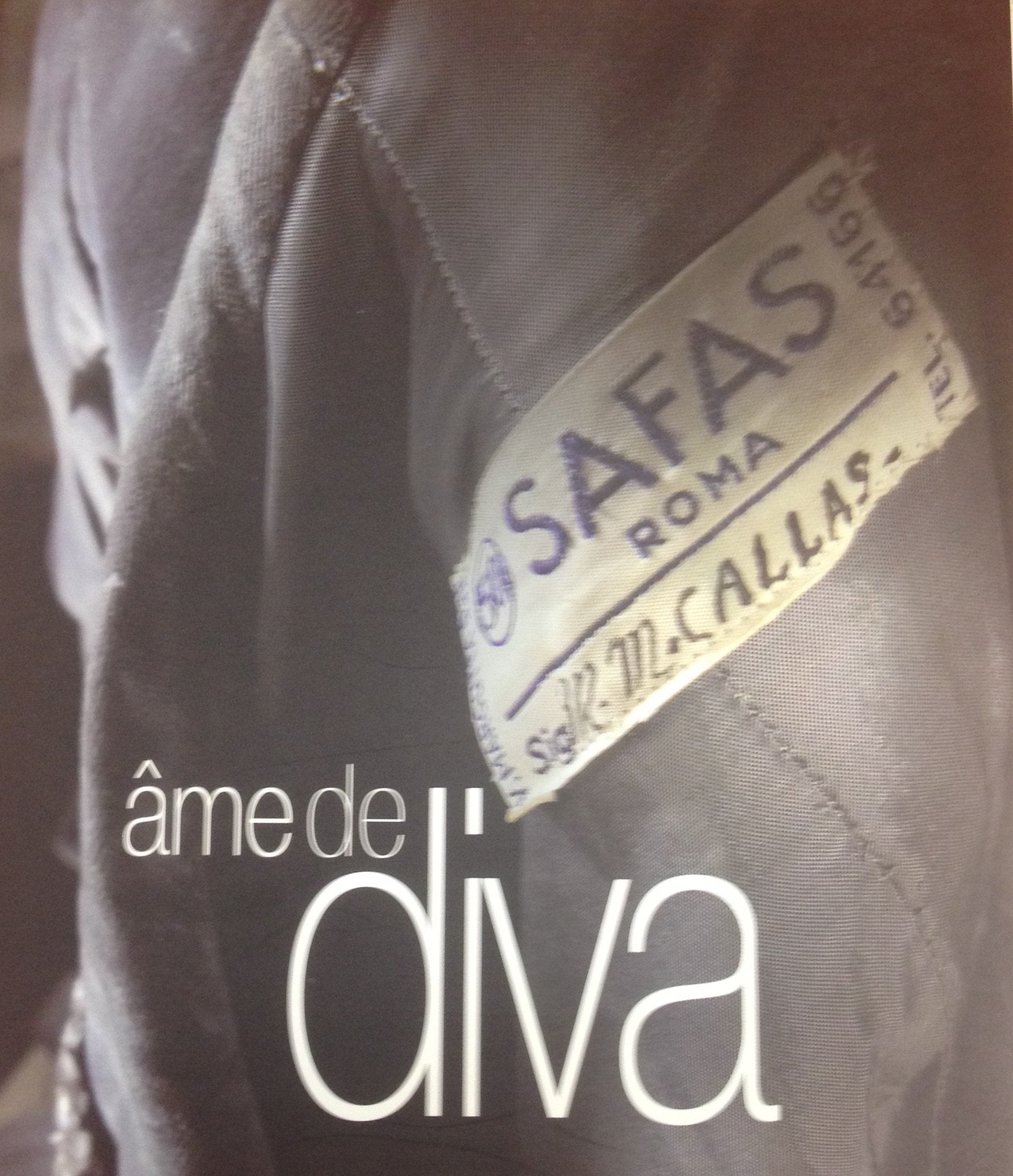 Ame de diva: Edition bilingue français-italien book