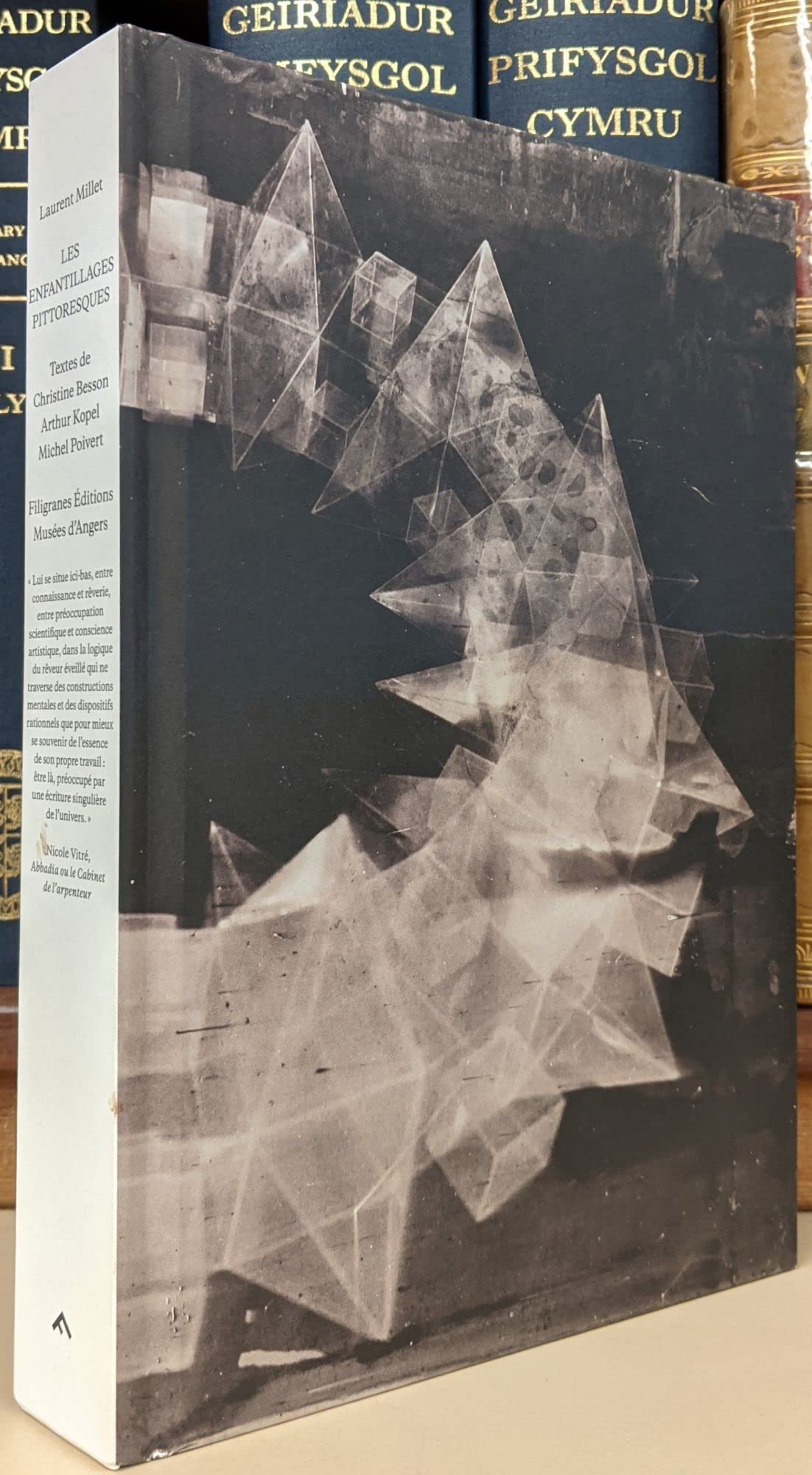 Les enfantillages pittoresques Books