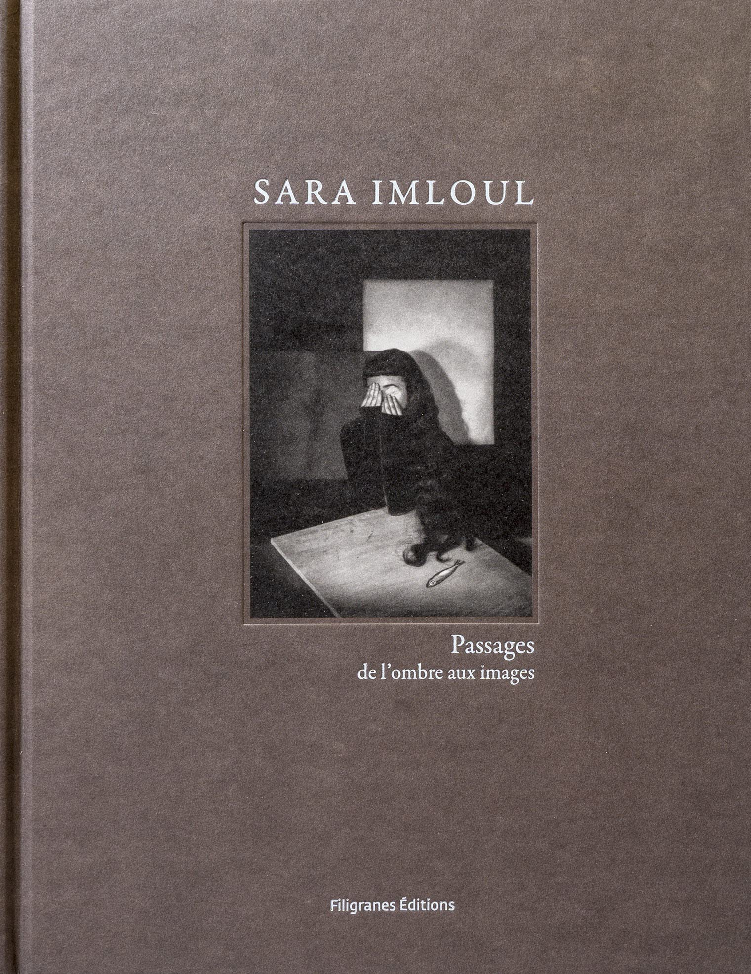 Passages : de l'ombre aux images book