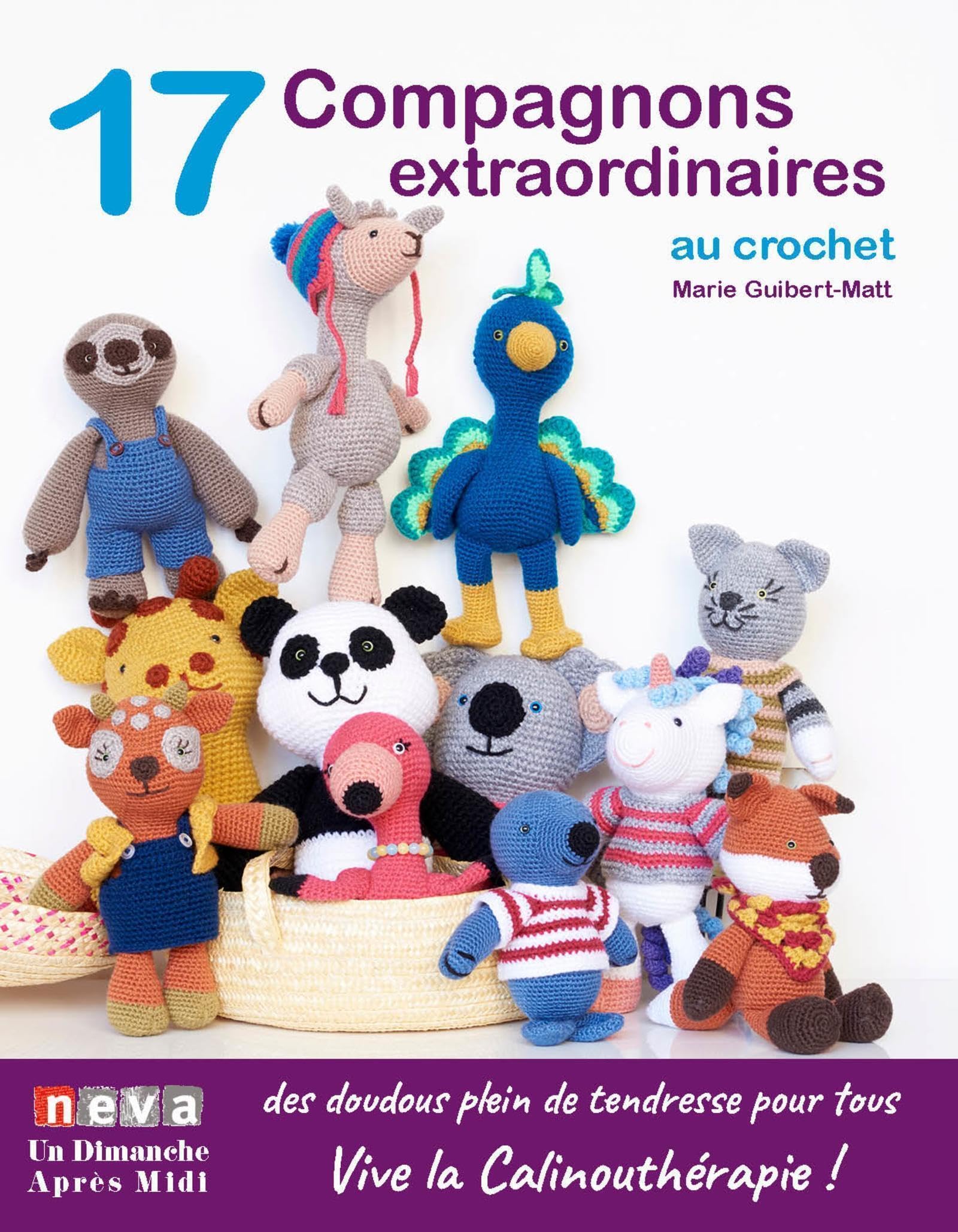 17 Compagnons extraordinaires au crochet book