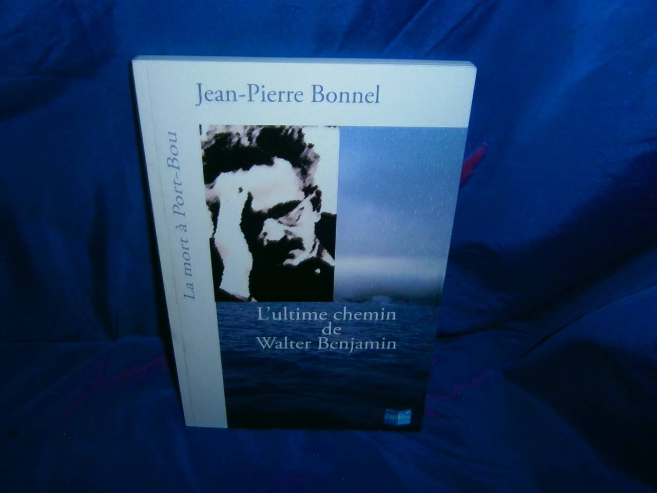 L'ultime chemin de Walter Benjamin: La mort à Port-Bou book