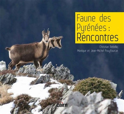 Product Image: Faune des Pyrénées : rencontres