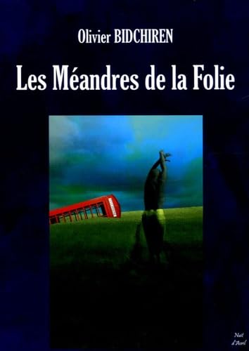 Les Méandres de la Folie book