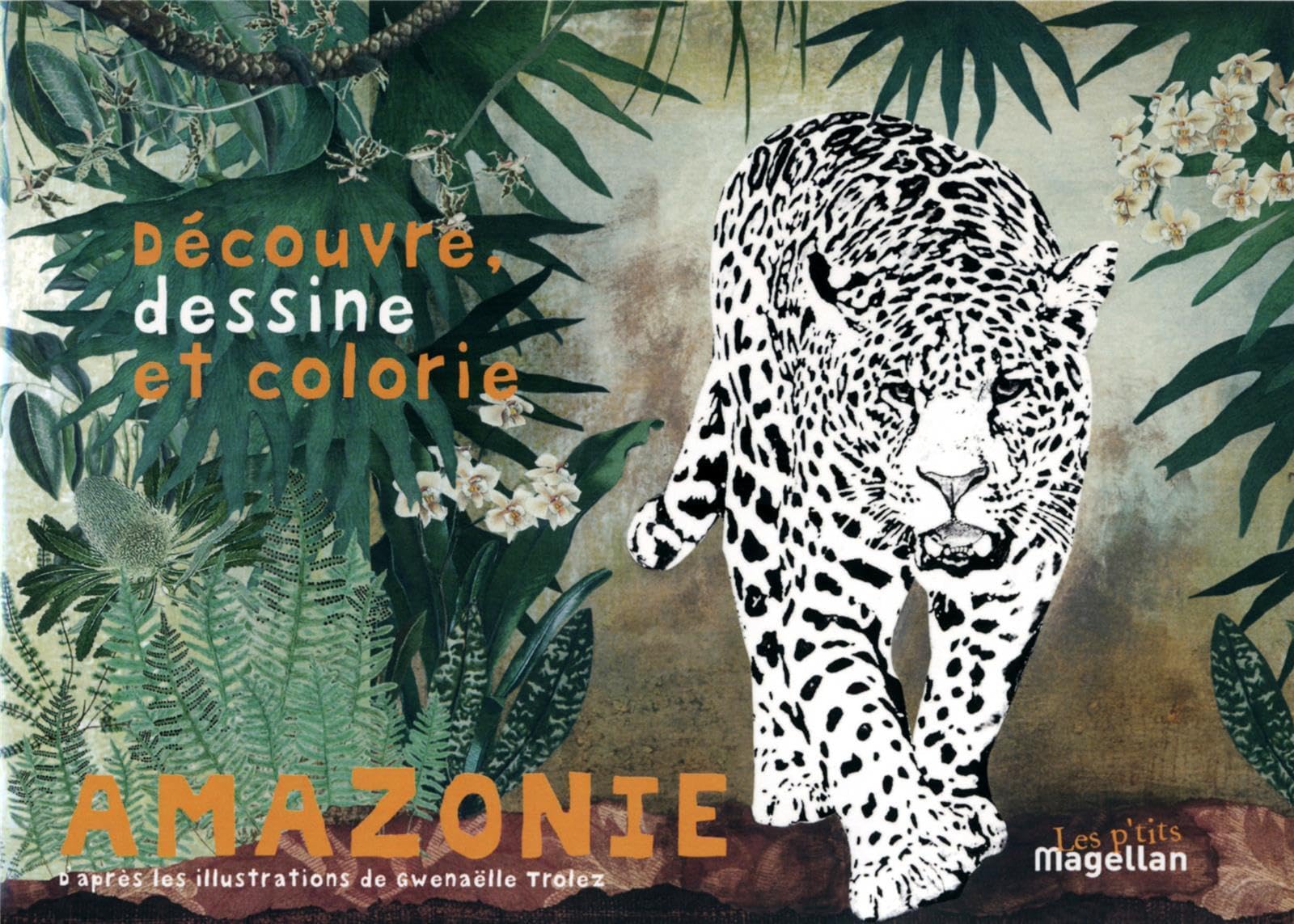 Amazonie : Cahier de coloriage book