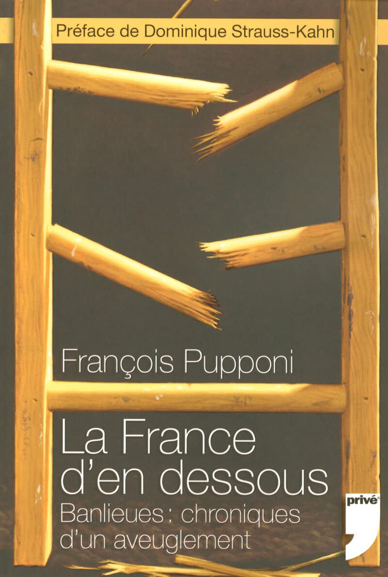 LA FRANCE D'EN DESSOUS - BALIEUES : CHRONIQUES D'UN AVEUGLEMENT: Banlieues : chroniques d'un aveuglement Books