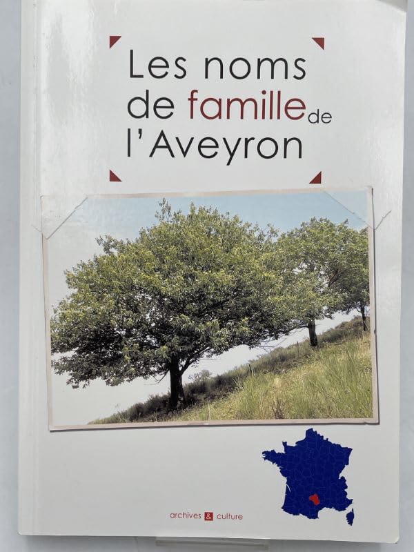 Les noms de famille de l'Aveyron Books
