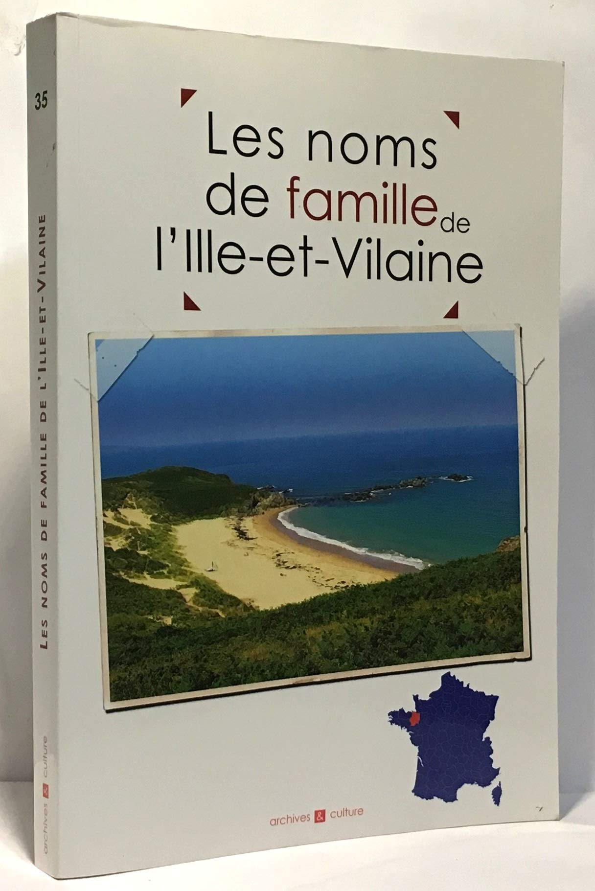 Les noms de famille de l'Ille-et-Vilaine Books