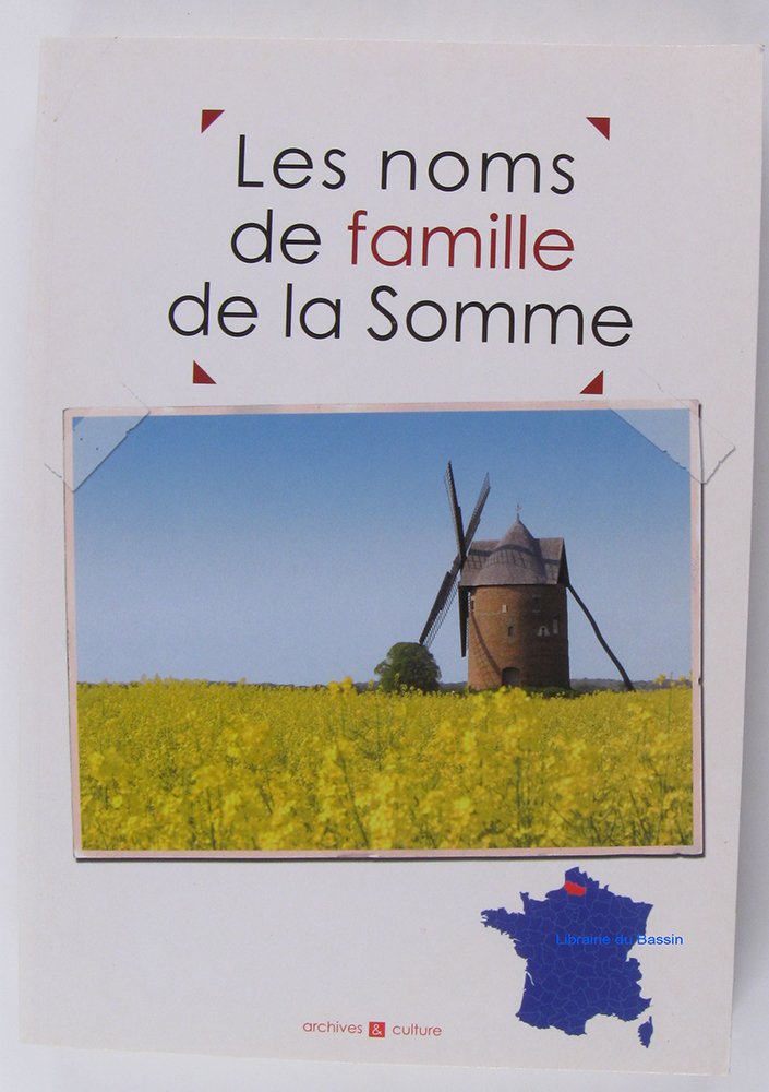 Les noms de famille de la Somme book