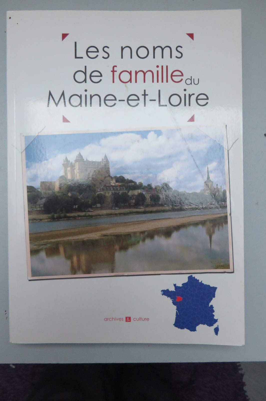 Les noms de famille du Maine-et-Loire book