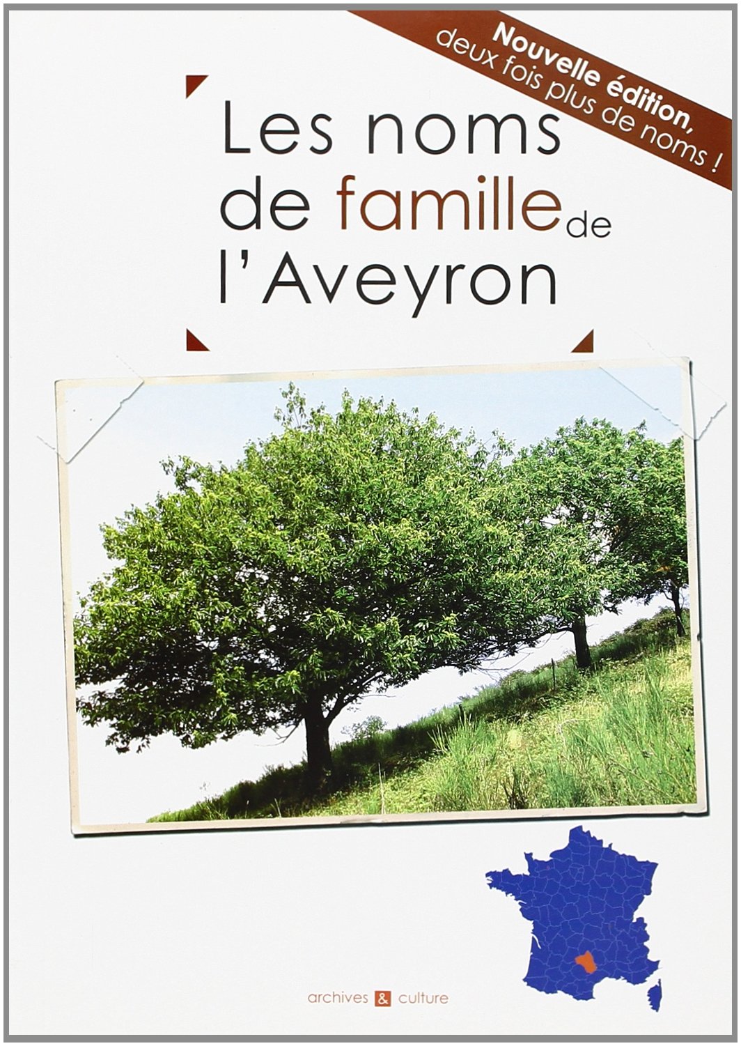 Les noms de famille de l'Aveyron book