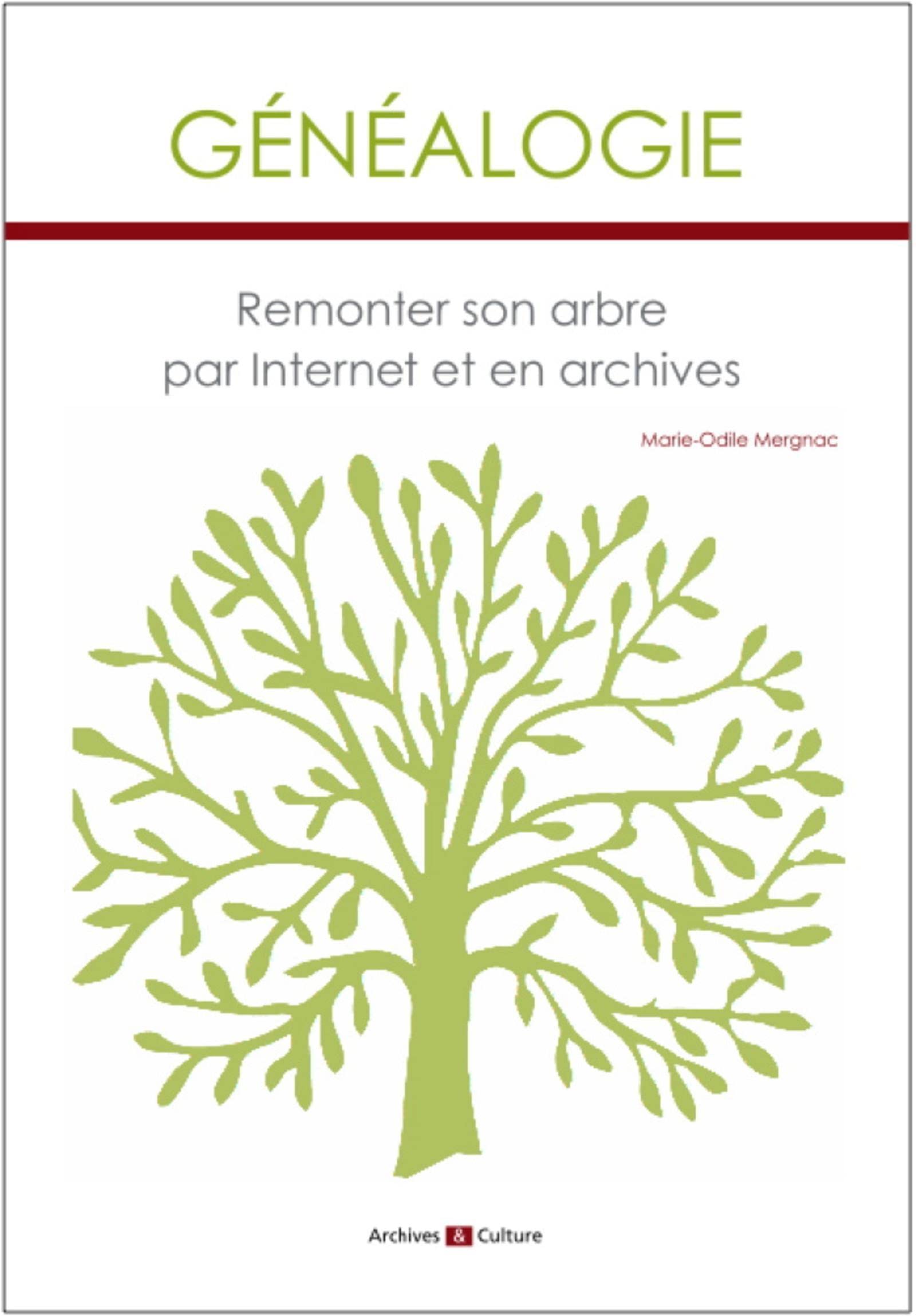 Généalogie : Remonter son arbre par internet et en archives: Remonter son arbre par internet et en archives Politics & History