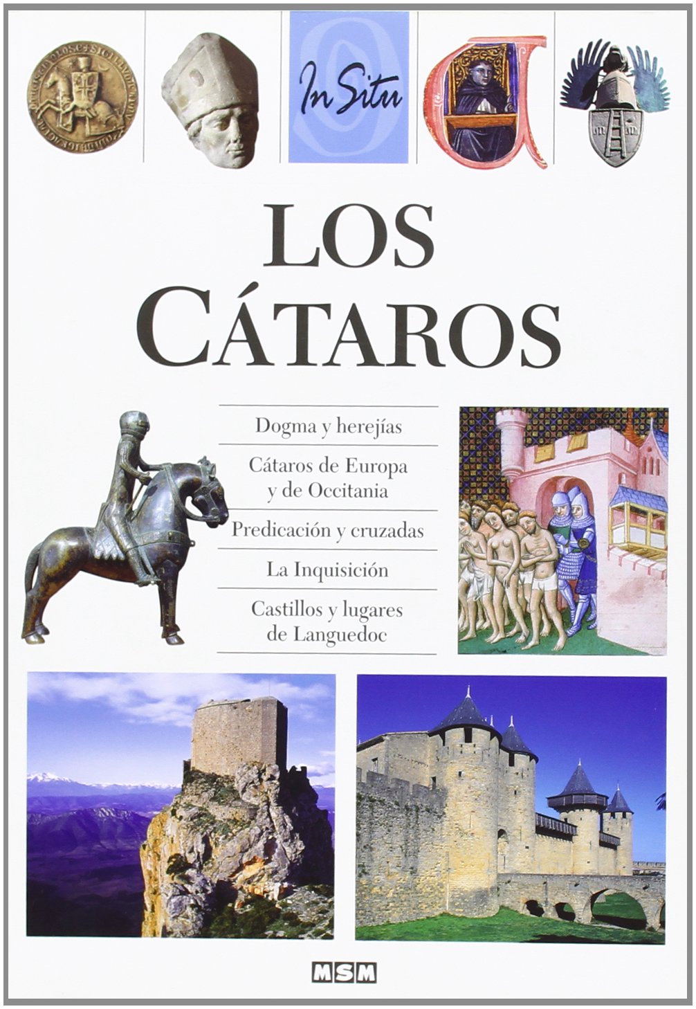 Los cataros (in situ) book