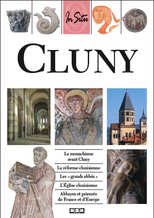 CLUNY (IN SITU) Politics & History