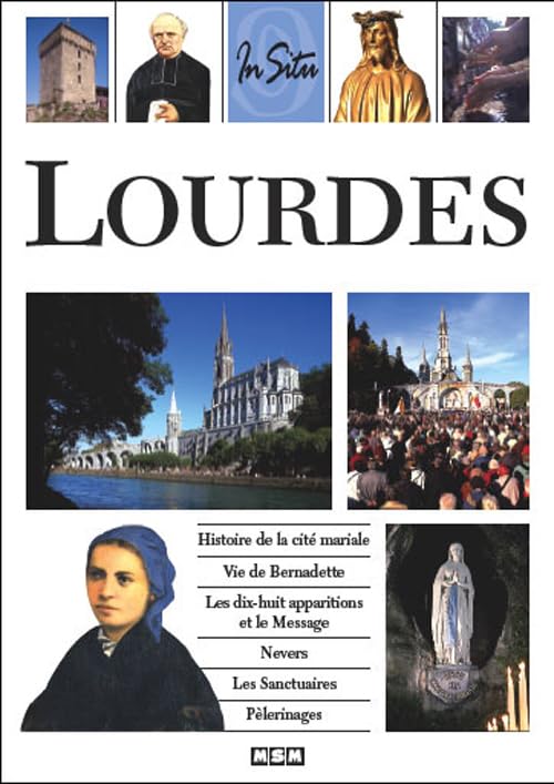 LOURDES (IN SITU) Politics & History