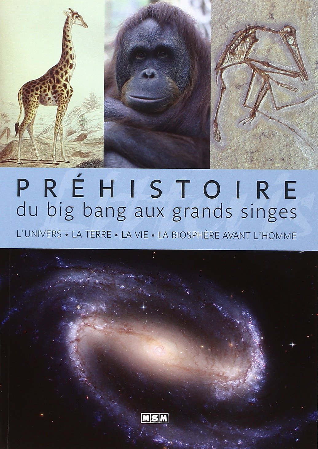 PREHISTOIRE, DU BIG BANG AU GRANDS SINGES: Du Big bang aux grands singes Politics & History