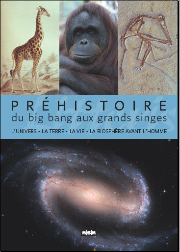 Préhistoire. Du big bang aux grands singes : l'Univers, la Terre, la vie, la biosphère avant l'homme Politics & History