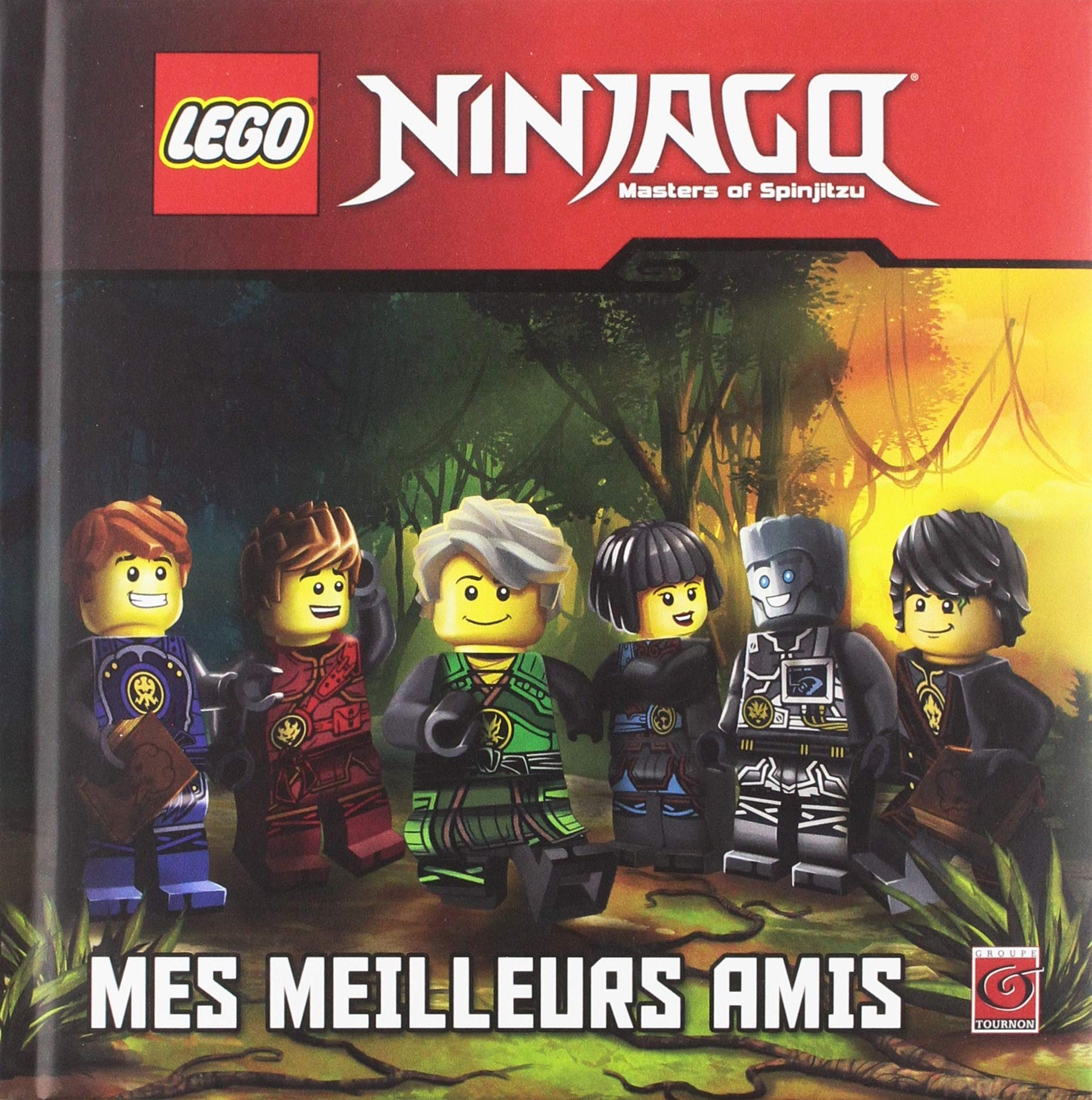 LEGO NINJAGO AMIS POUR LA VIE T02 book