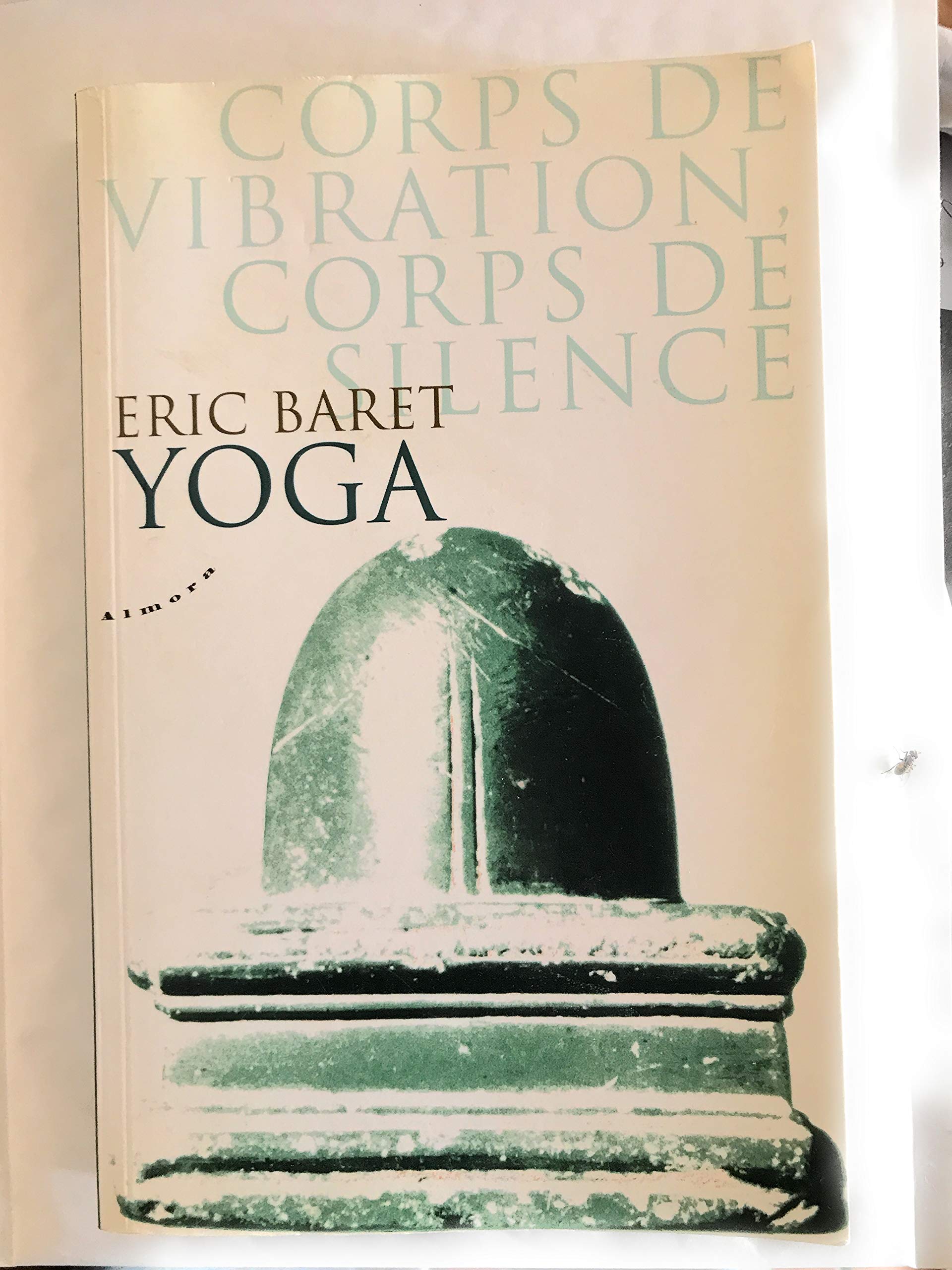 Yoga : Corps de vibration, corps de silence selon le shivaïsme tantrique cachemirien Lifestyle