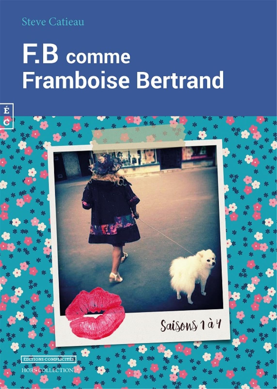 F.B Comme Framboise Bertrand Contemporary literature