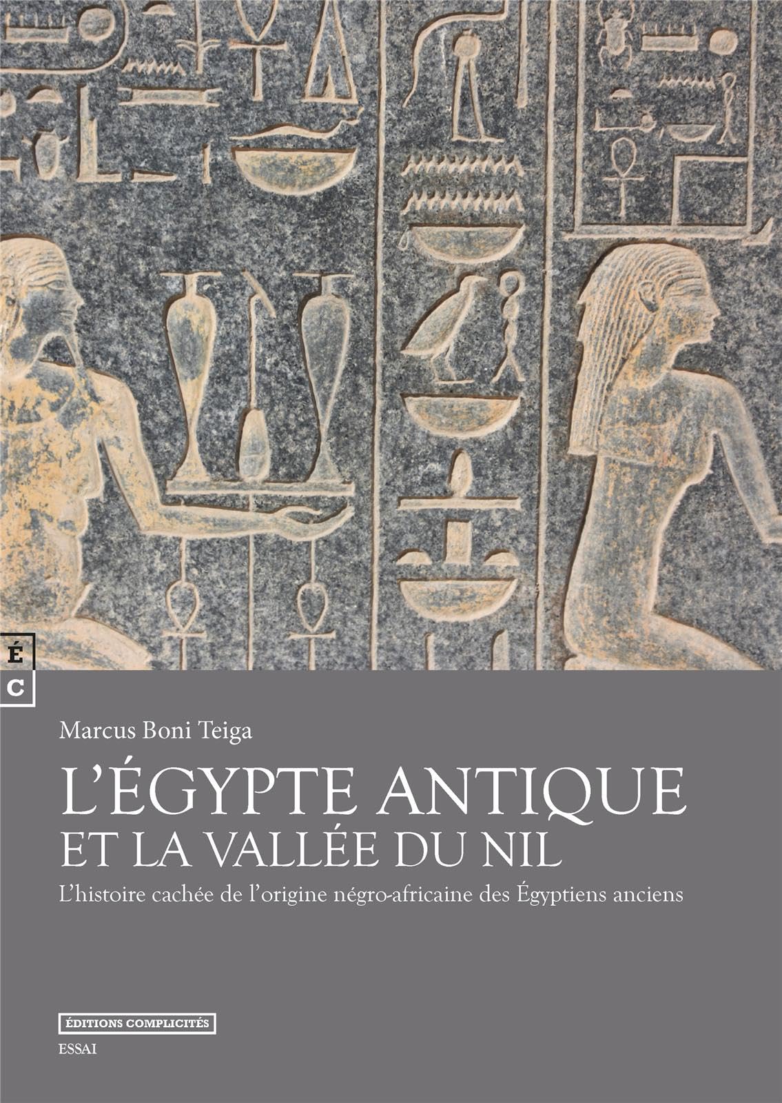 L'Egypte Antique et la Valee du Nil : L histoire cachée de l origine négro-africaine des Égyptiens anciens book
