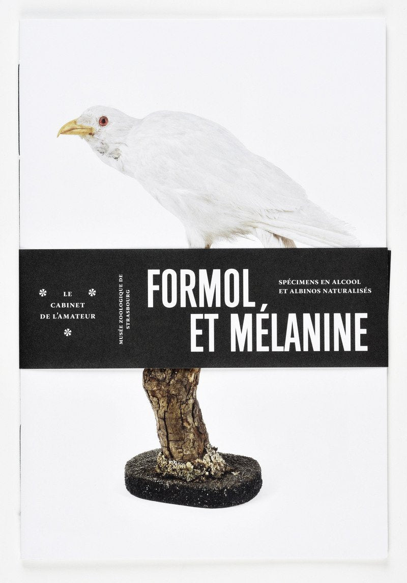 Formol et Mélanine book