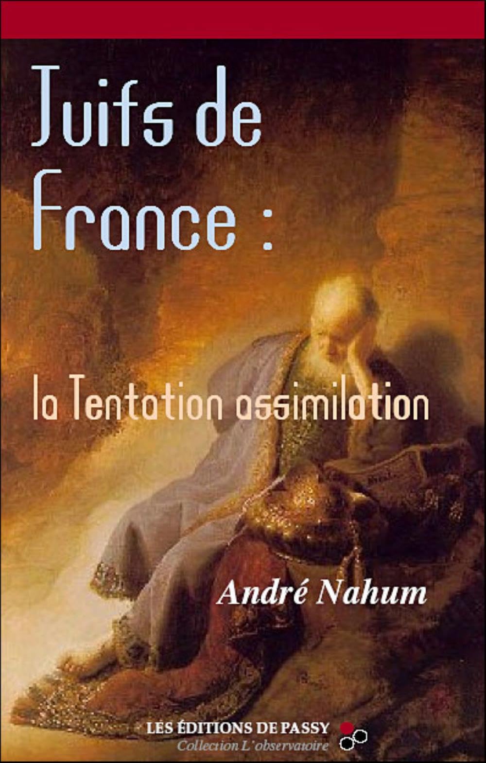 Juifs de France : la tentation assimilation Contemporary literature