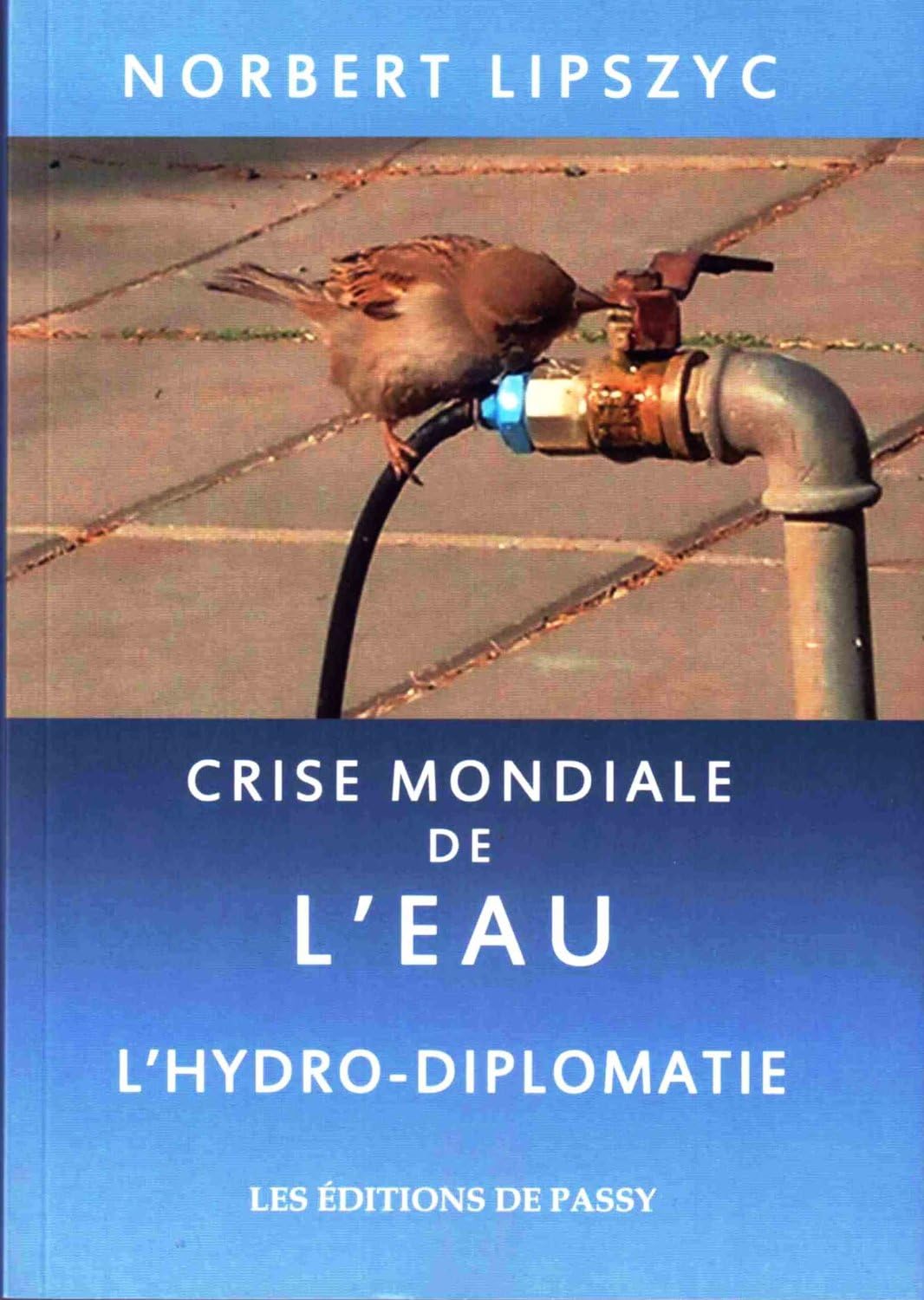 Crise mondiale de l'eau : l'hydro diplomatie Contemporary literature