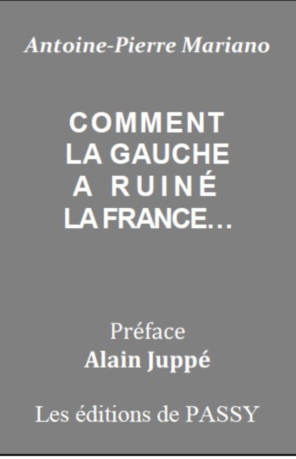 Comment la gauche a ruiné la France... book
