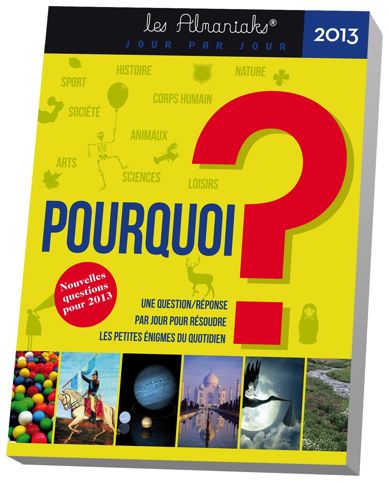 Almaniak pourquoi ? 2013 book