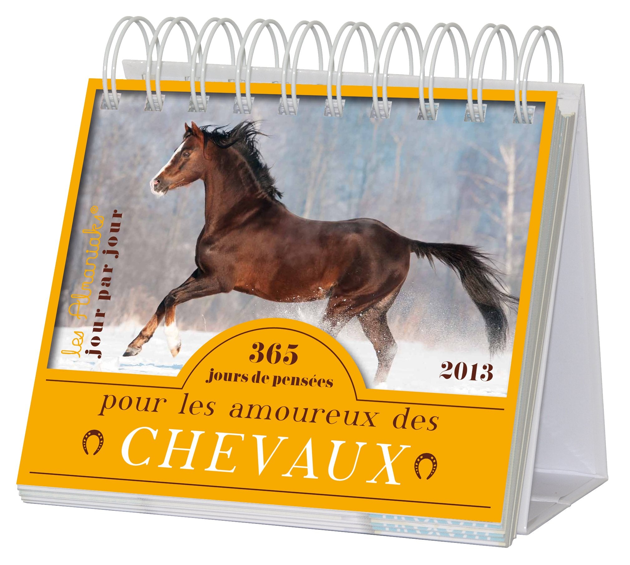 Calendrier Almaniak 365 jours de pensées pour les amoureux des chevaux 2013 book